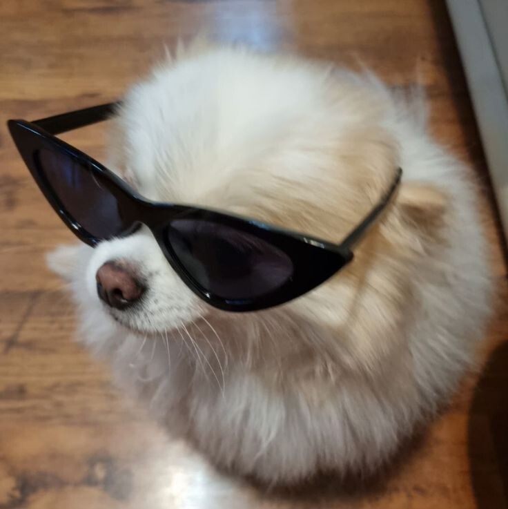 Ну примерно такой красавец был