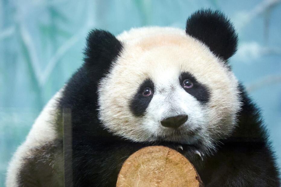    Сергей Петров/NEWS.ru