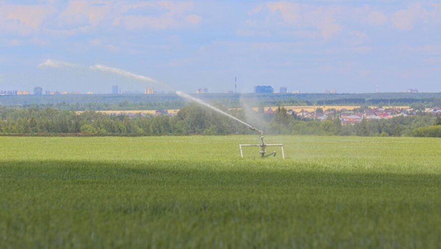    Фото: KazanFirst