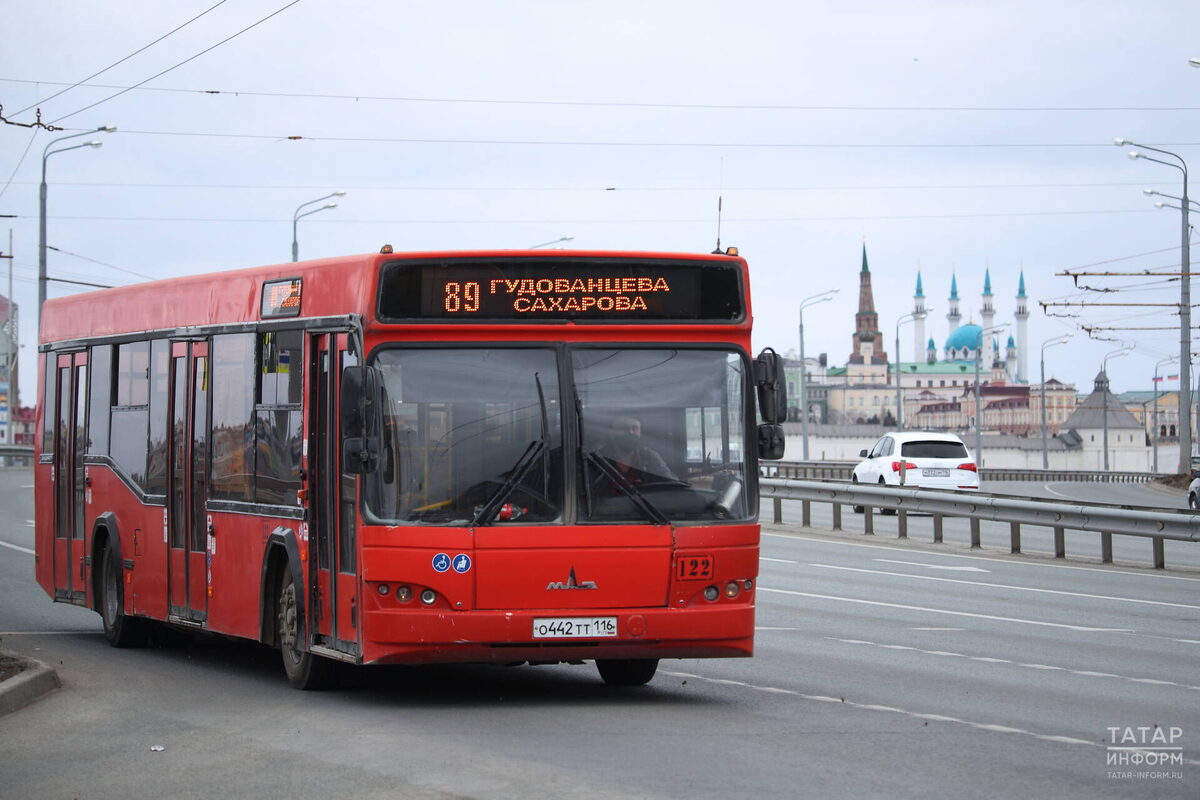 Фото: © «Татар-информ»