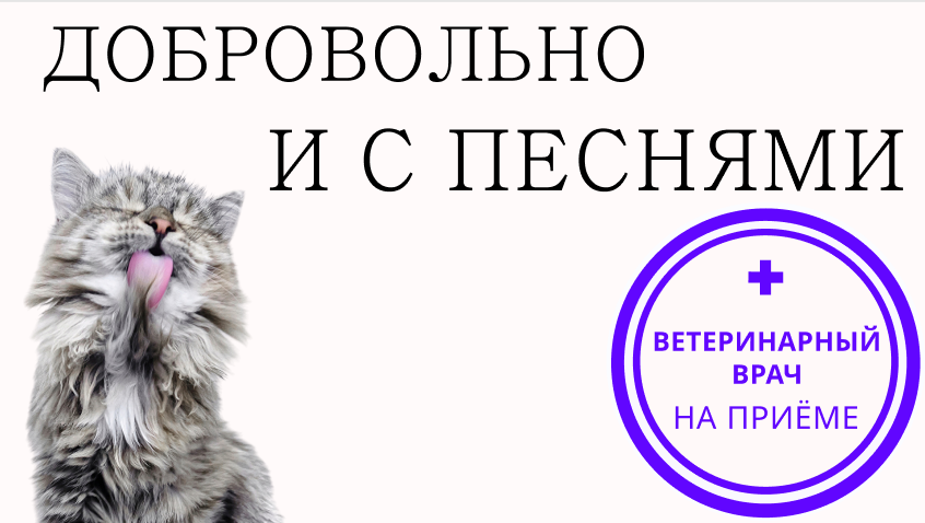 Как дать кошке пасту для вывода шерсти