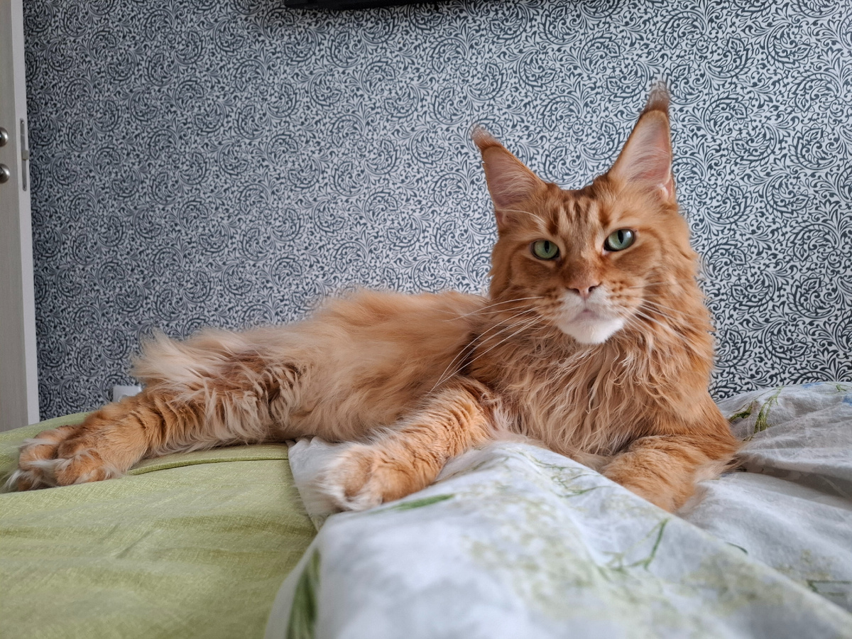 Фото Никитина Дениса