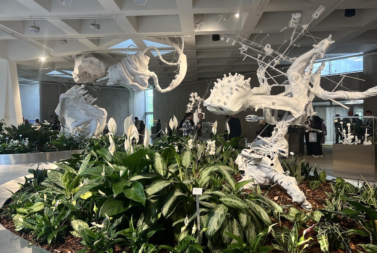 Инсталляции Дмитрия Каварги