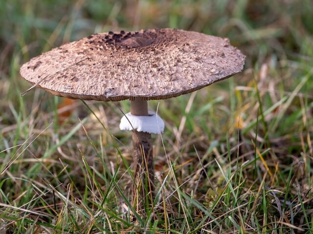    Фото: ТАСС/EPA/Tytus Zmijewski