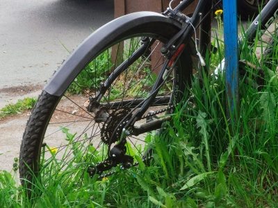    Фото: ГТРК Карелия