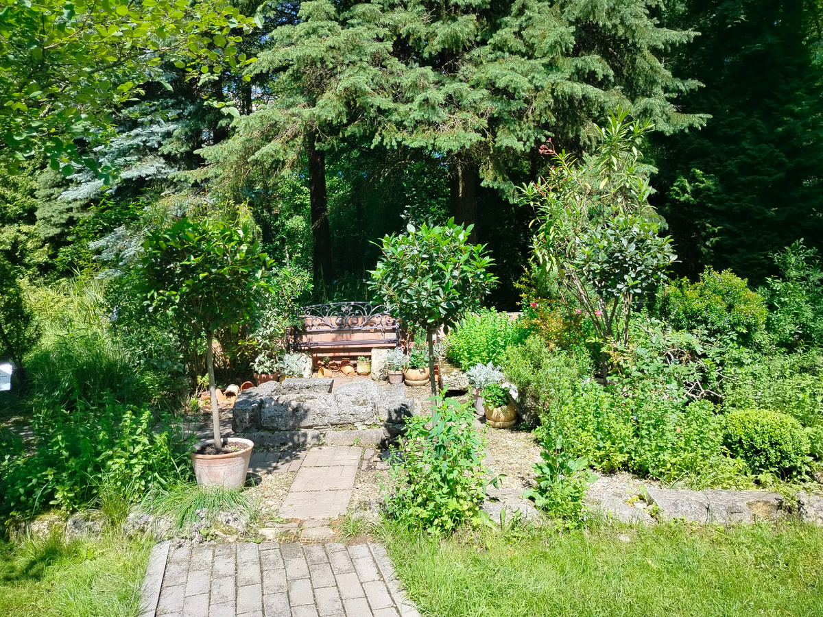 Уголок сада 