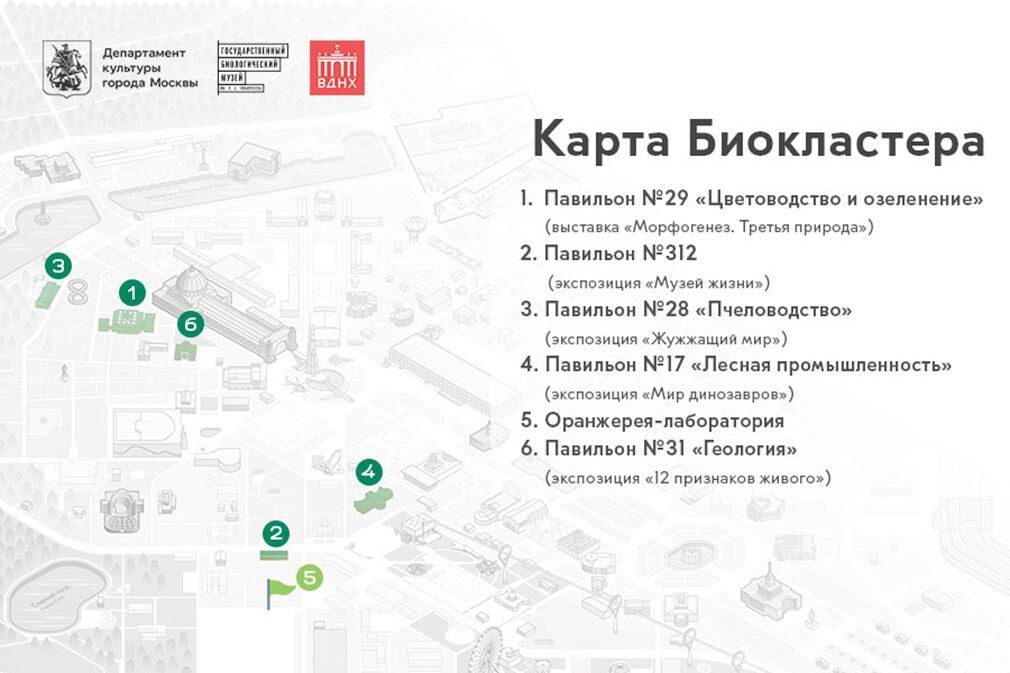    На ВДНХ заработал первый в России биокластер