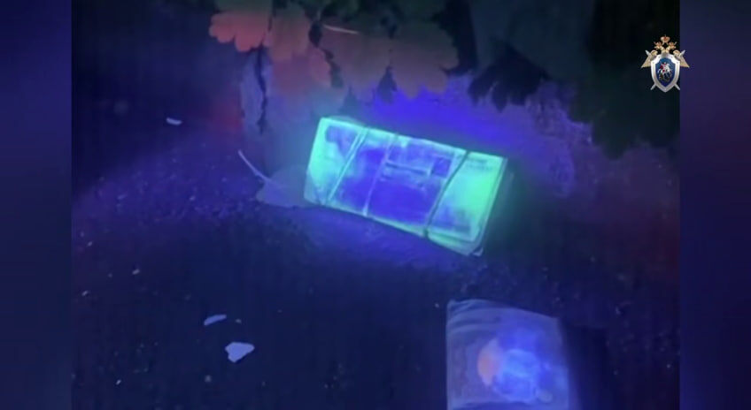 Фото: t.me/gsuskrf_spb