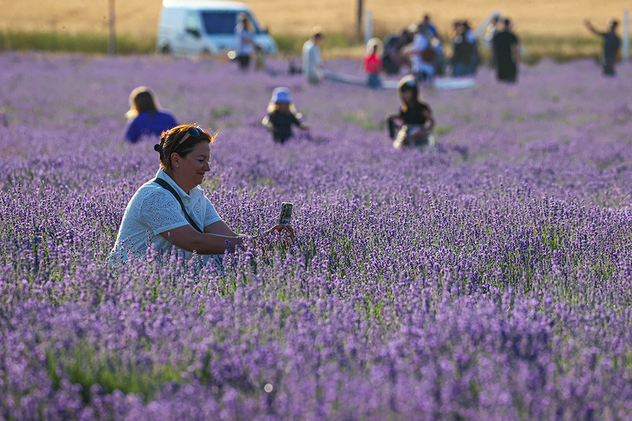    © Сергей Мальгавко/ТАСС
