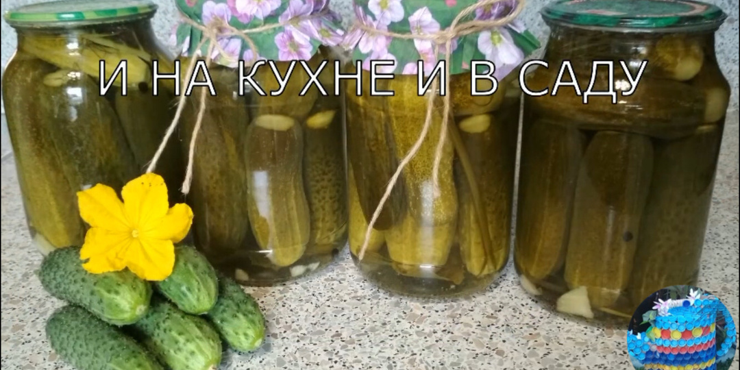 Огурцы маринованные без стерилизации.