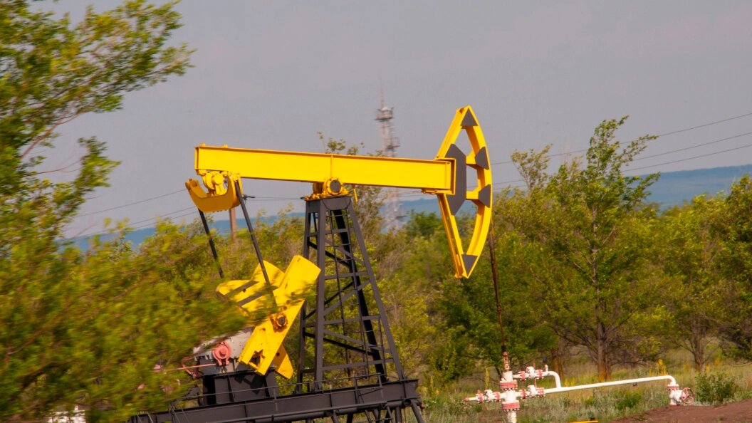    Фото: Svetlana Vozmilova/Global Look Press/Globallookpress