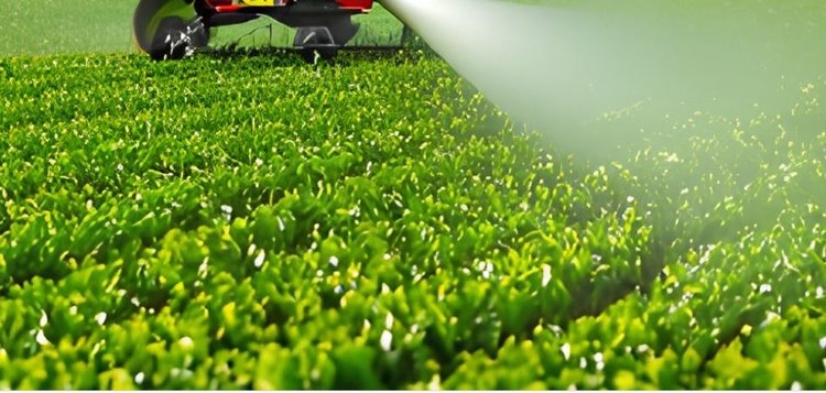    Фото: Медведева Анна, AgroXXI.ru