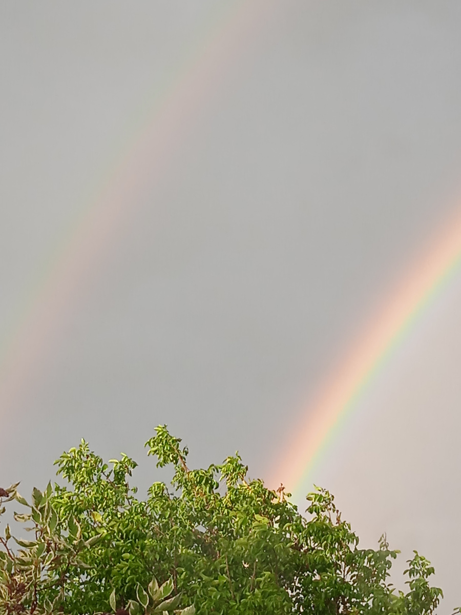 Фото автора канала. 