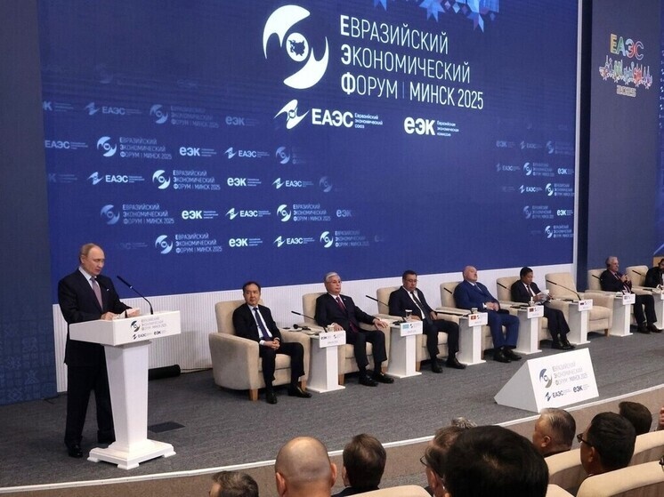     банк принял участие в финансировании строительства Западного скоростного диаметра, Кольцевой автодороги, а также в модернизации аэропорта Пулково. фото: официальный сайт Кремля