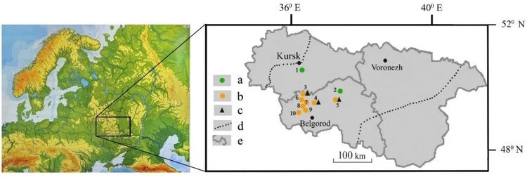     Какие почвы могут считаться эталоном для сельхозугодий, рассказали российские ученые
