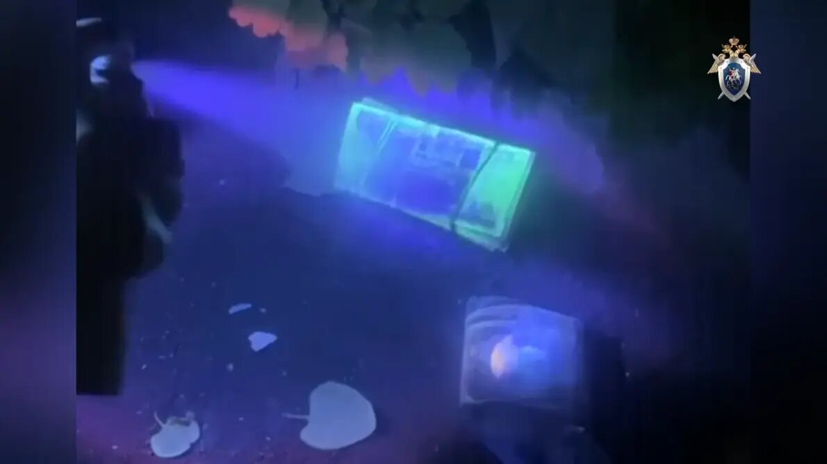    Фото: кадр видео ГСУ СК по Петербургу