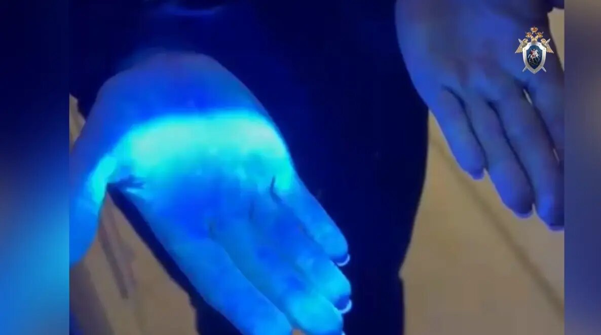    Фото: кадр видео ГСУ СК по Петербургу