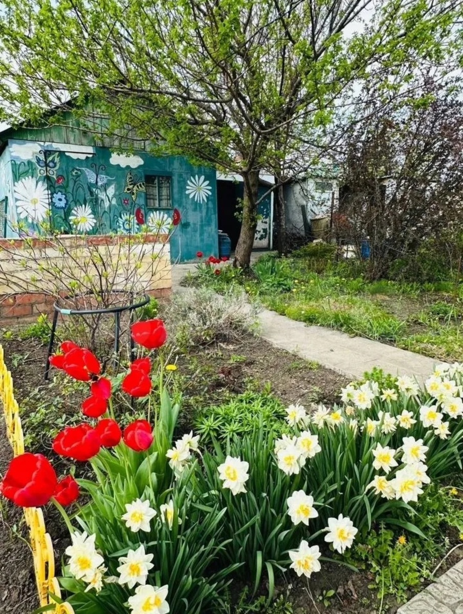 Фото из свободного доступа