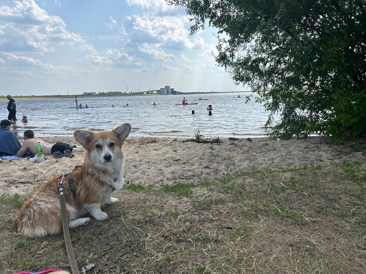 Накупанная