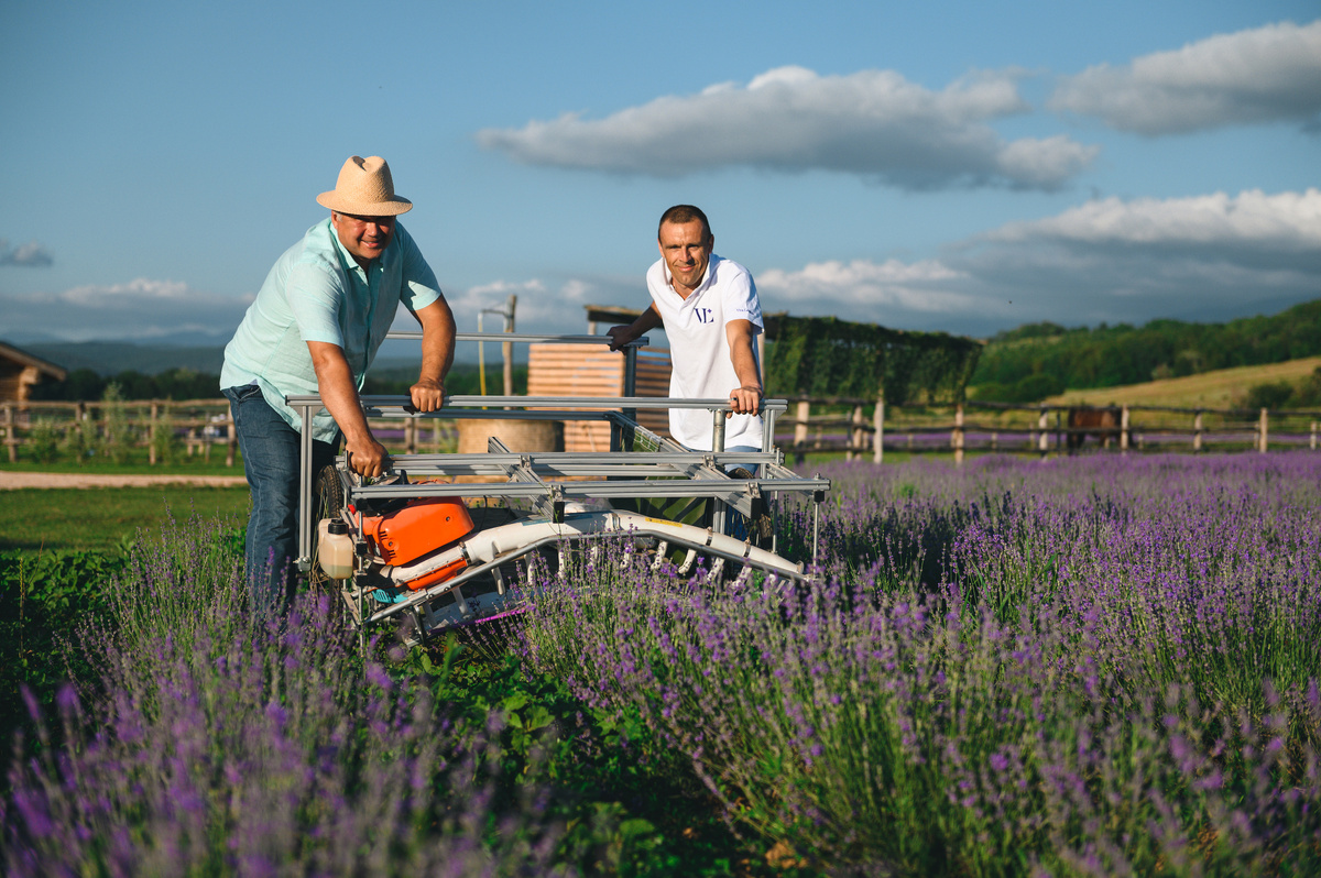 Лавандовое поле
Фото предоставлено фермой Viva Lavanda