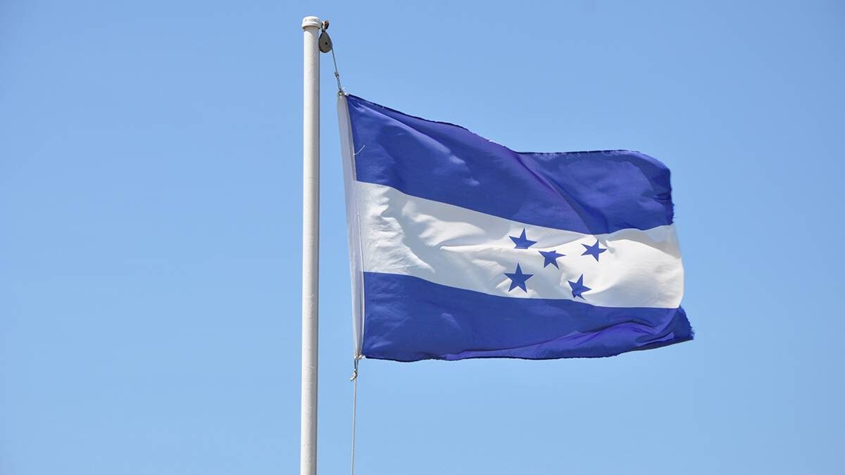    Фото: Shutterstock