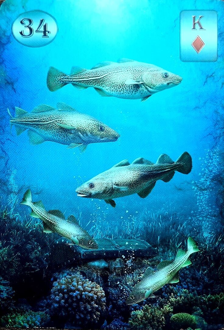 Оракул Ленорман Телема