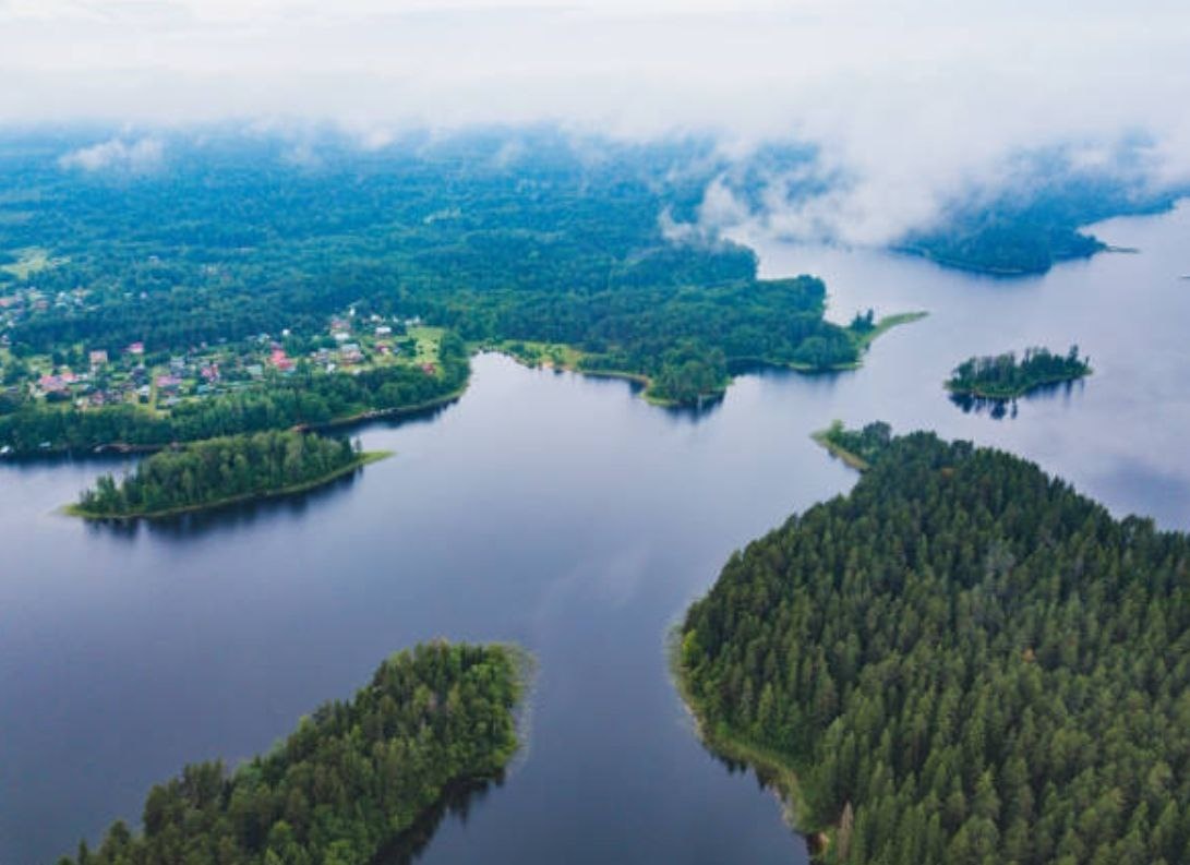 Фото: istockphoto.com