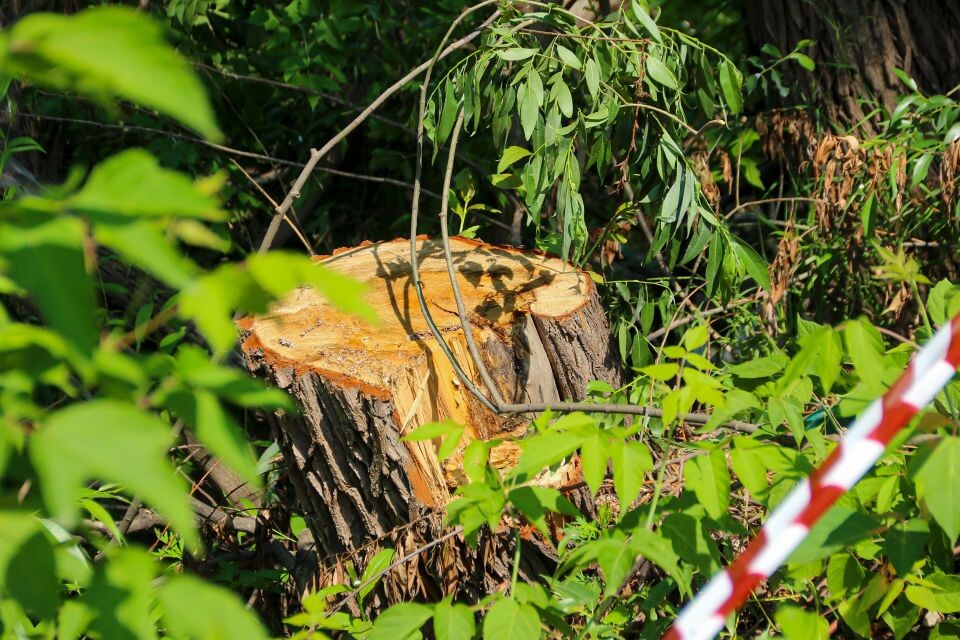    Обрушившаяся переправа через реку Пивоварку в Барнауле. Источник: Виталий Барабаш