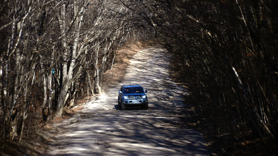 Фото: Эмин Джафаров / Коммерсантъ