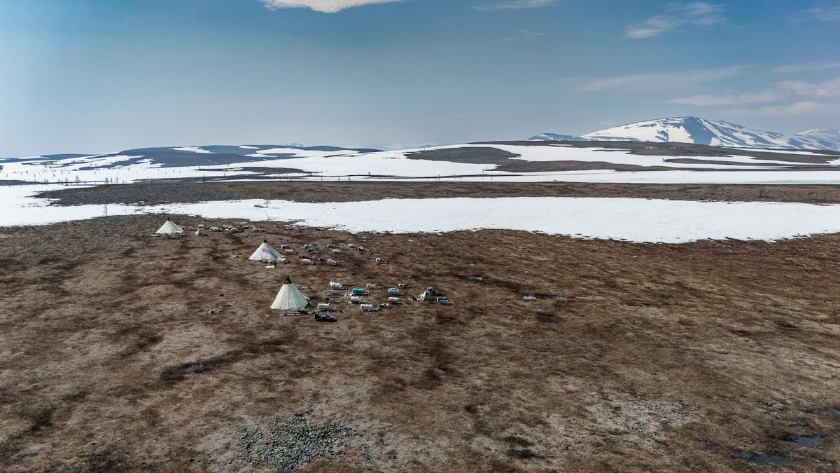 Стойбище сверху кажется маленьким островком жизни среди бесконечной суровой тундры. Здесь нет связи, магазинов рядом или соседей. Здесь только семья, олени и несколько домов-чумов, и все они вместе кочуют сотни километров.