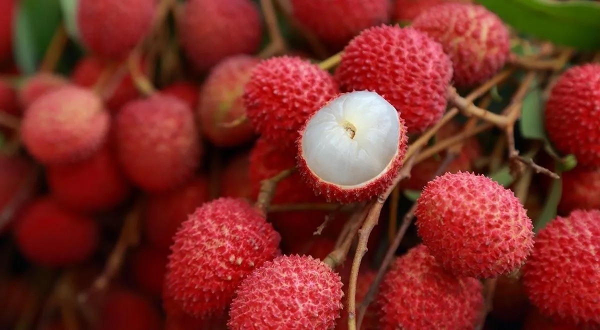 На 82% — вода и не ягода. Стоит ли белорусам покупать личи, появившиеся в магазинах