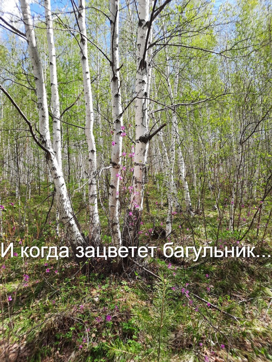 Фото автора.