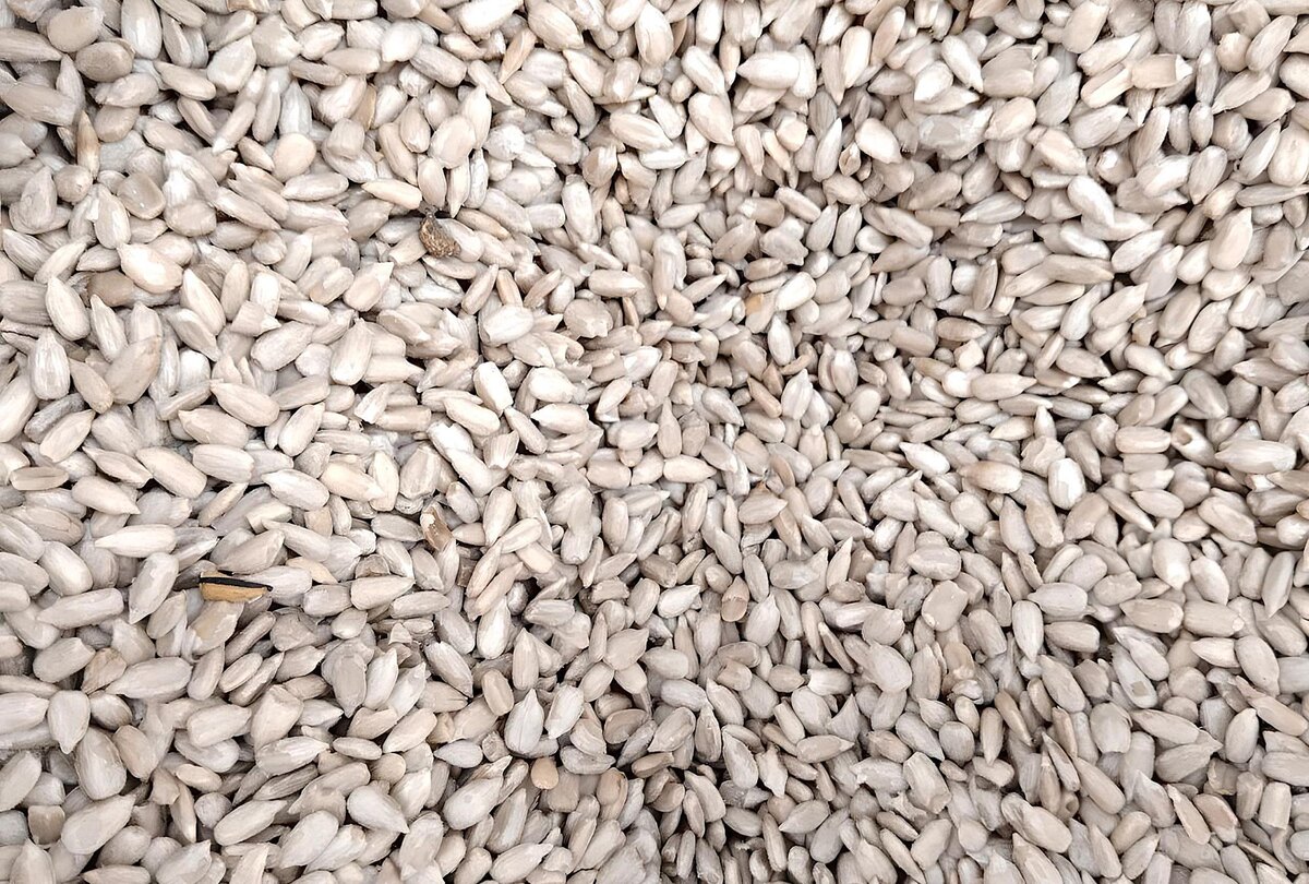 Фото: АПК Новости