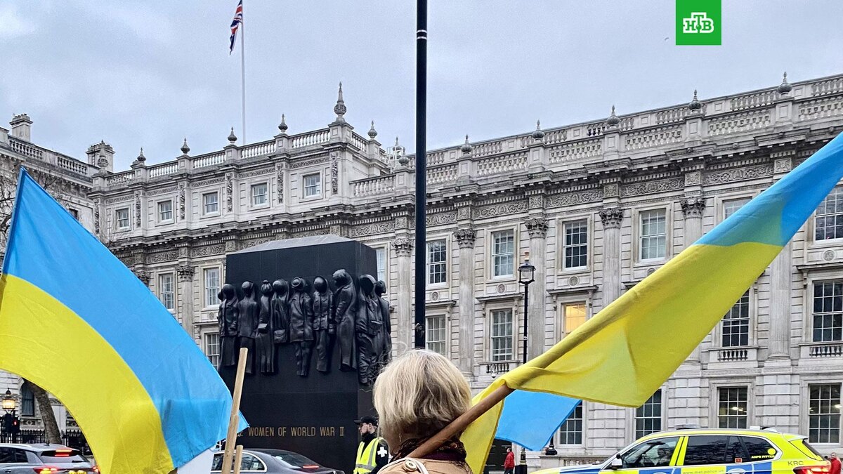    Фото: CrowN / unsplash.com