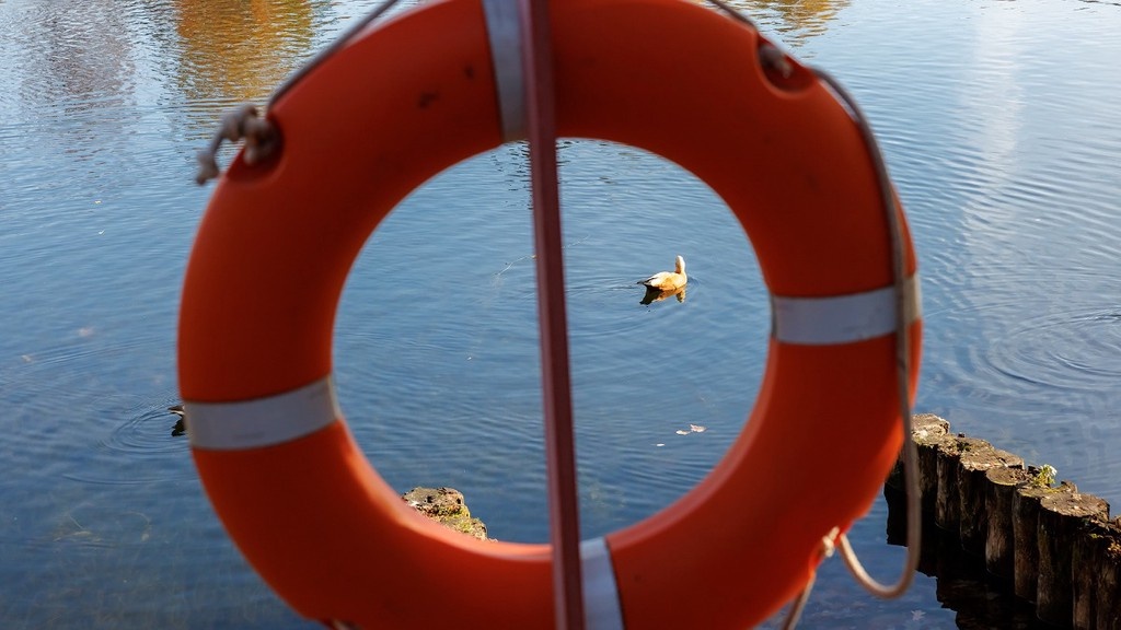    Фото © Дмитрий Дубинский / Абзац