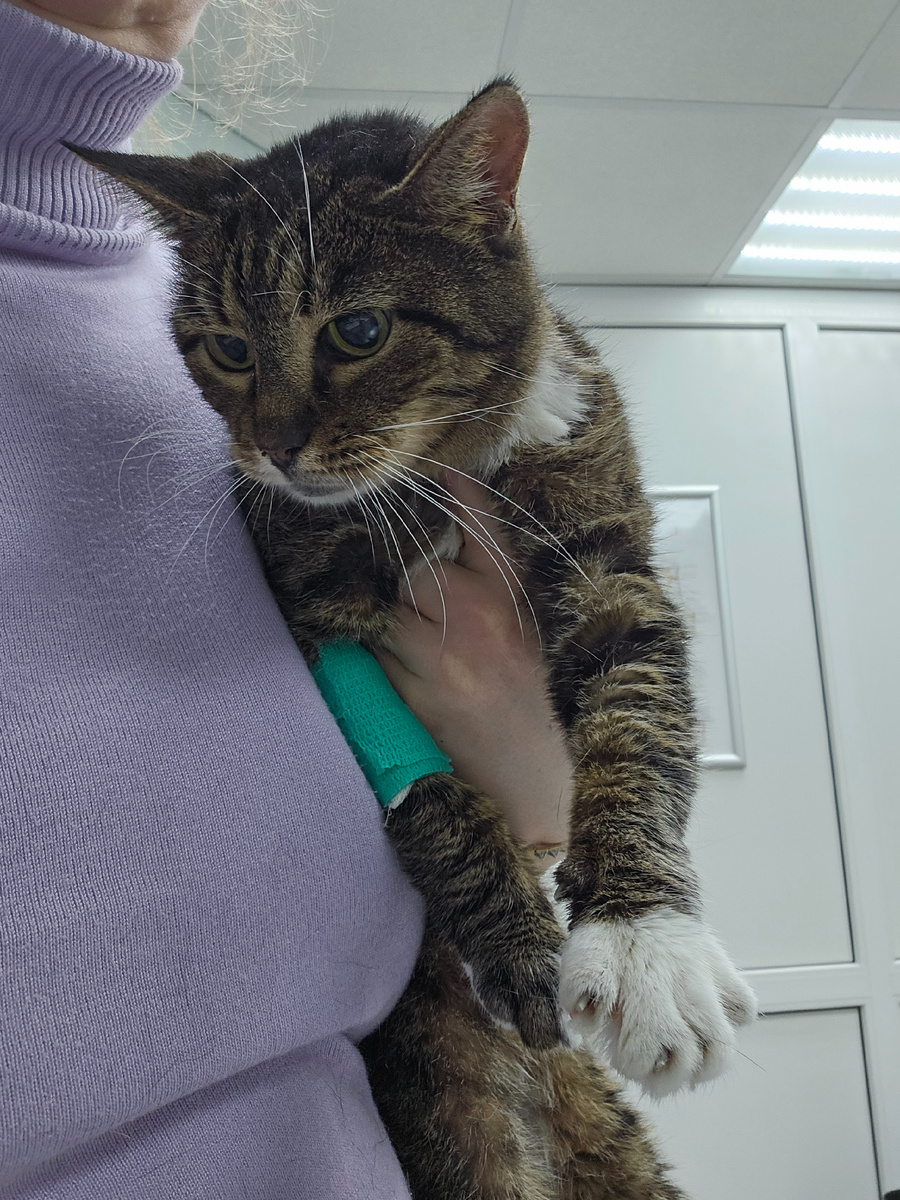 Фото автора. Маргоша, болет нага девочка фипом.