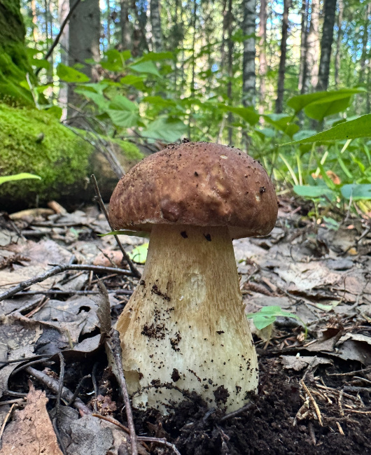  Фото: vk.com/daniil_moiseev18