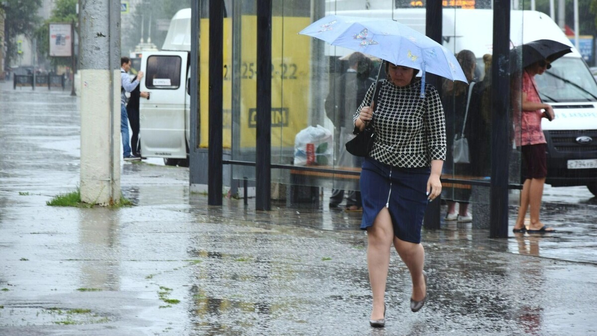     Источник: novostivolgograda.ru