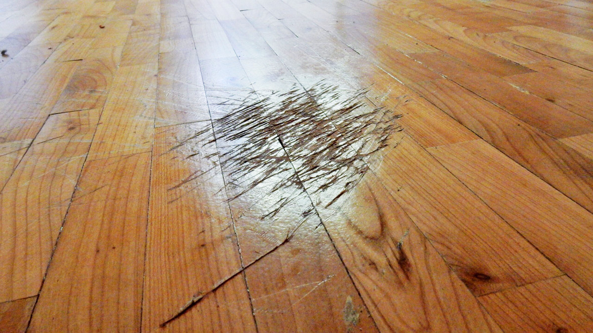 Настойчивость не везде уместна