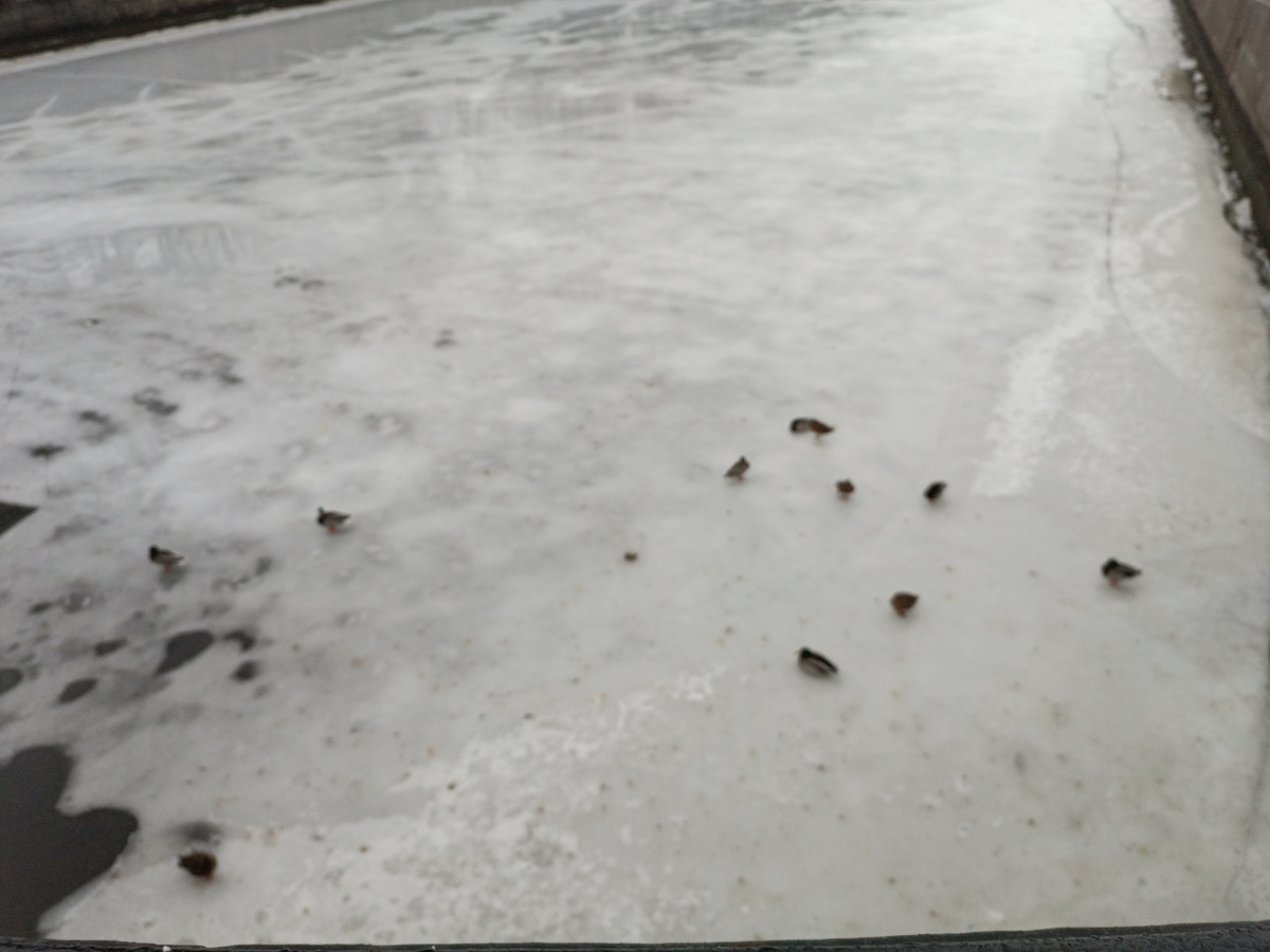 Примерно вот в такую ,как сами понимаете в тот момент было не до фото и оригинального её фото нет!)