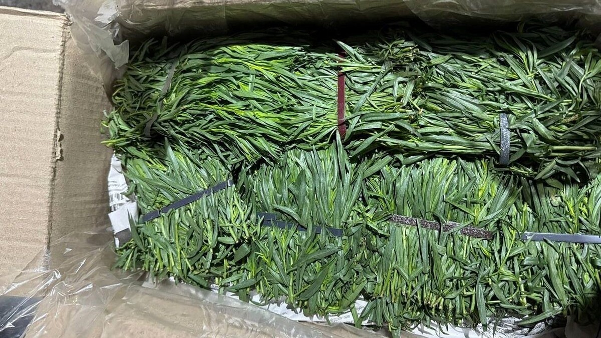    Фото: ЮМУ Россельхознадзора