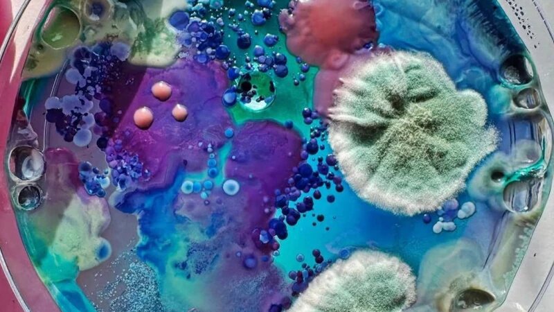     Девушки создают биопортреты, используя микробы из подмышек, пупков и ноздрей. Телеграм-канал SHOT