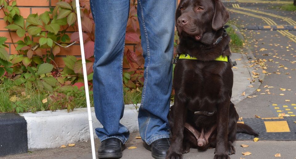    Медиасток.рф