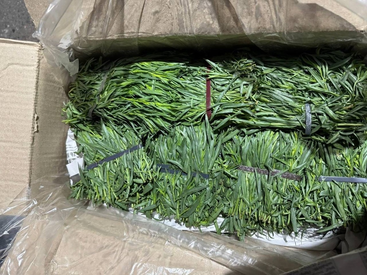 фото: Южное межрегиональное управление Россельхознадзора  📷
