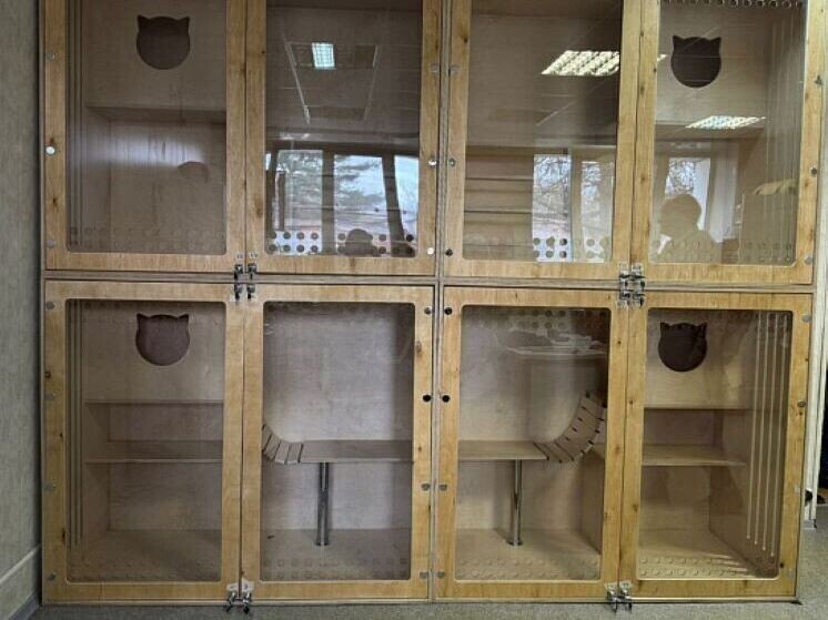     Фото: Пресс-центр Правительства Кировской области