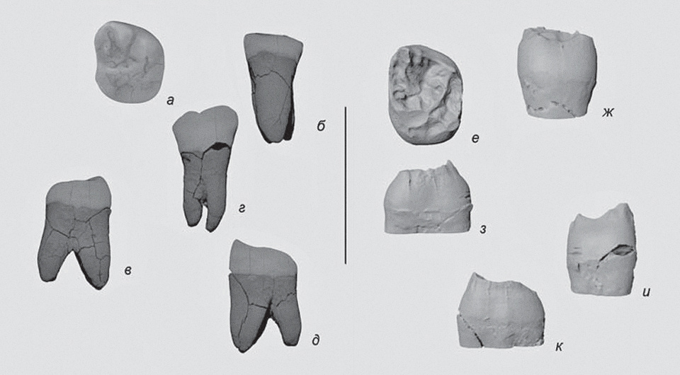   Алиса Зубова и др. / Археология, этнография и антропология Евразии, 2025