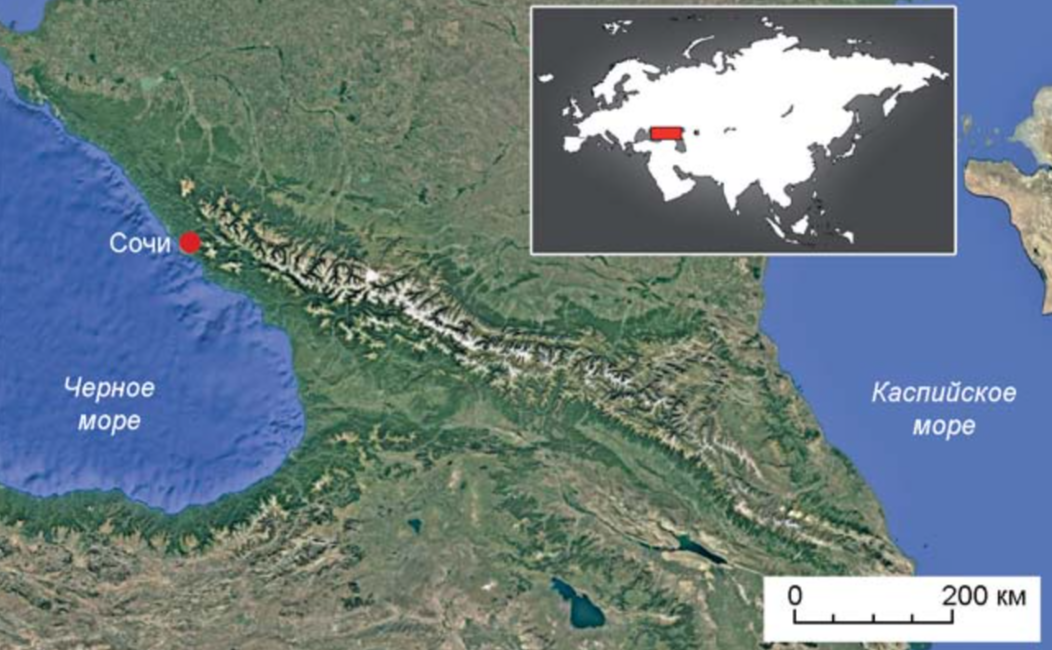   Алиса Зубова и др. / Археология, этнография и антропология Евразии, 2025