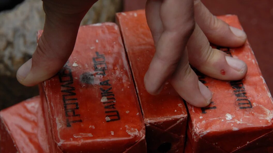    Фото: © Andrey Shapran/Russian Look/Globallookpress