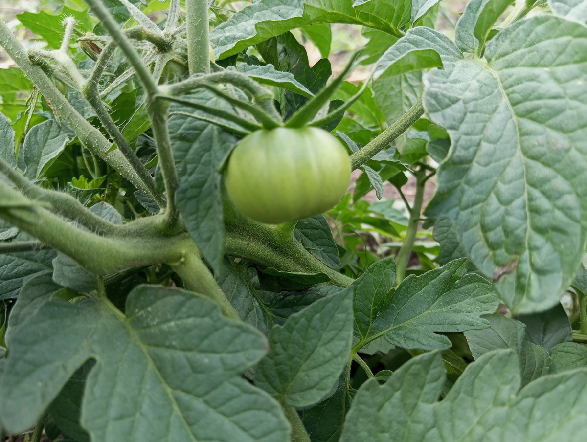 Фото: Виолетта Гавриленко.