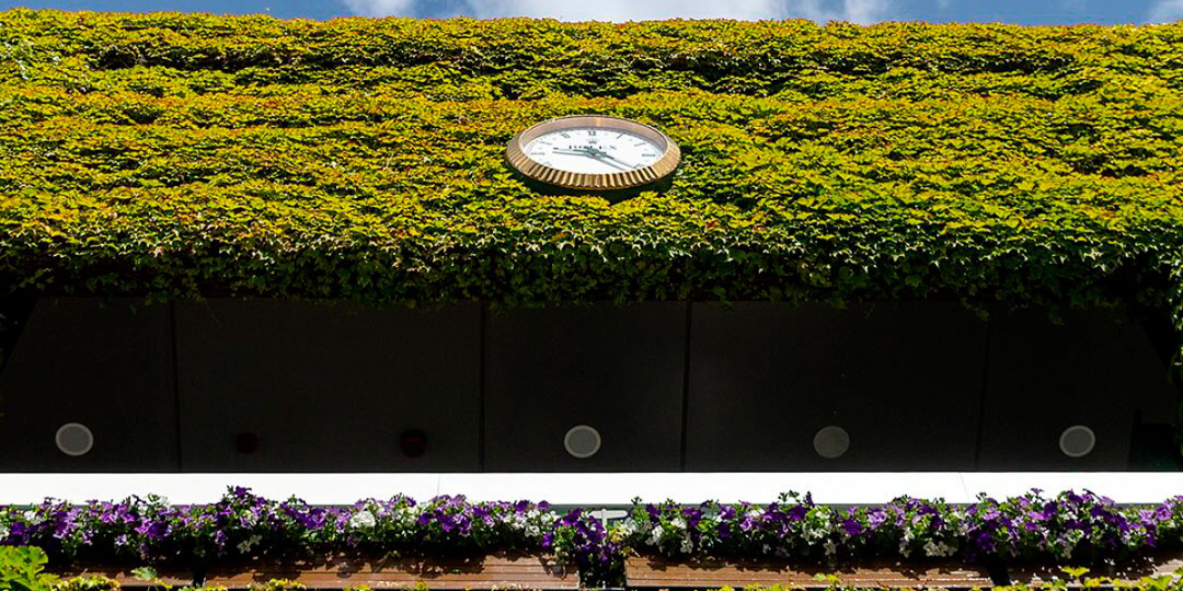 За кем следить, какие призовые: самое интересное для белорусов на Уимблдоне